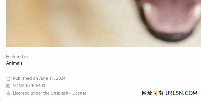 Unsplash 图片