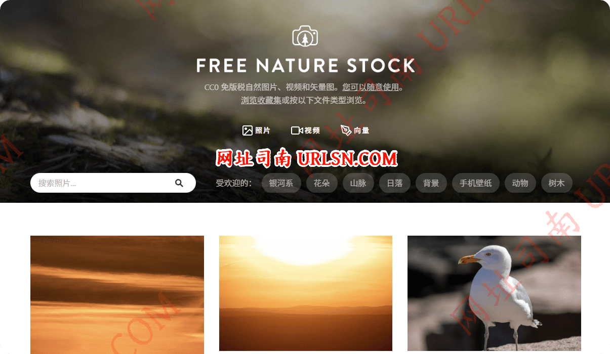 Free Nature Stock 图片
